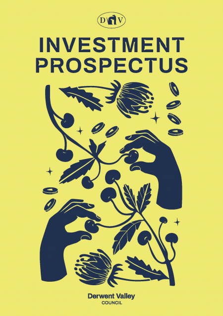 Investment Prospectus