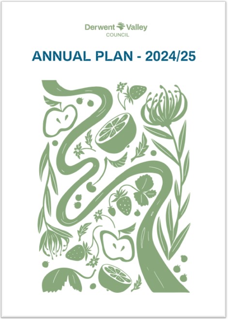 Annual Plan 2024/25