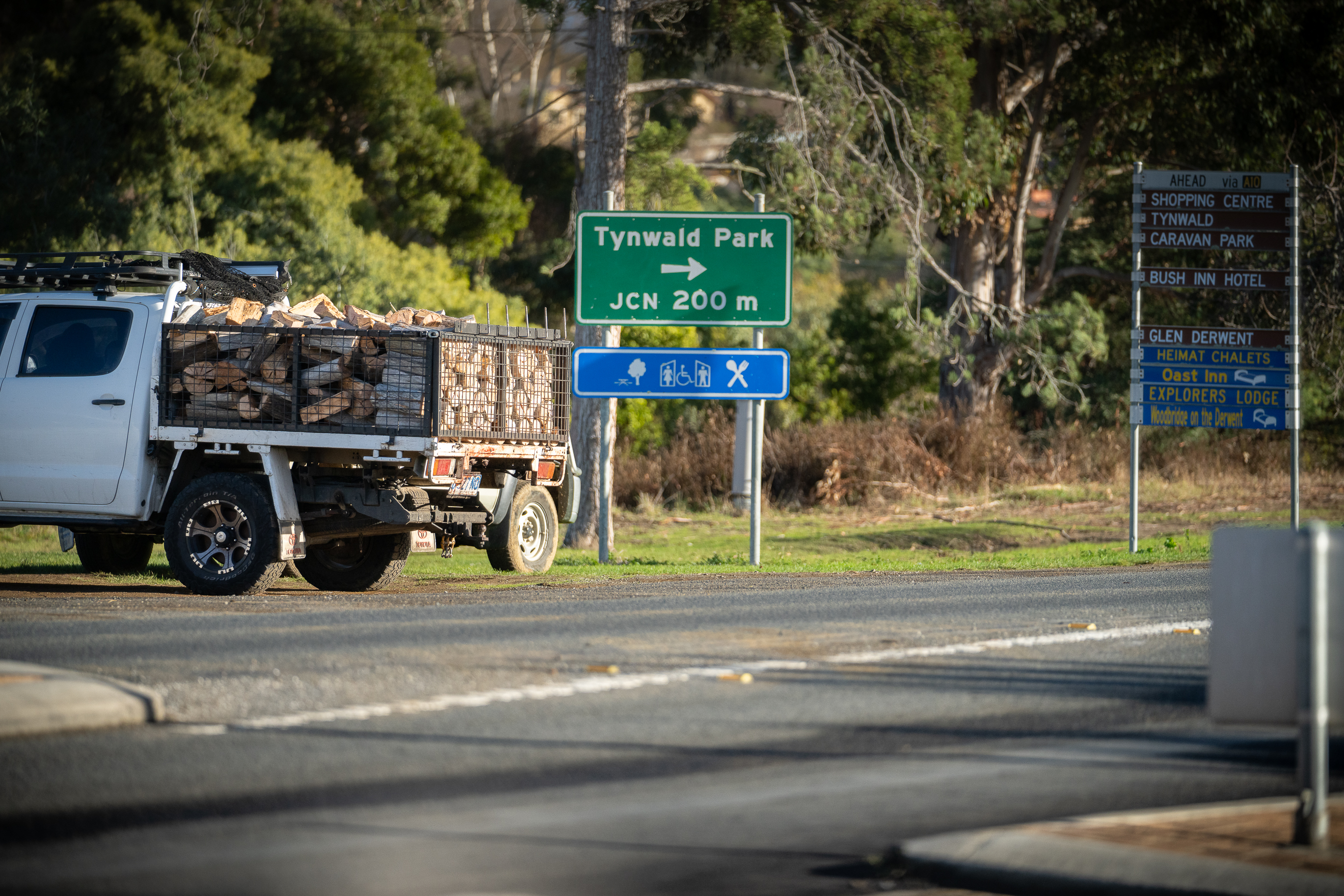 Load of Wood